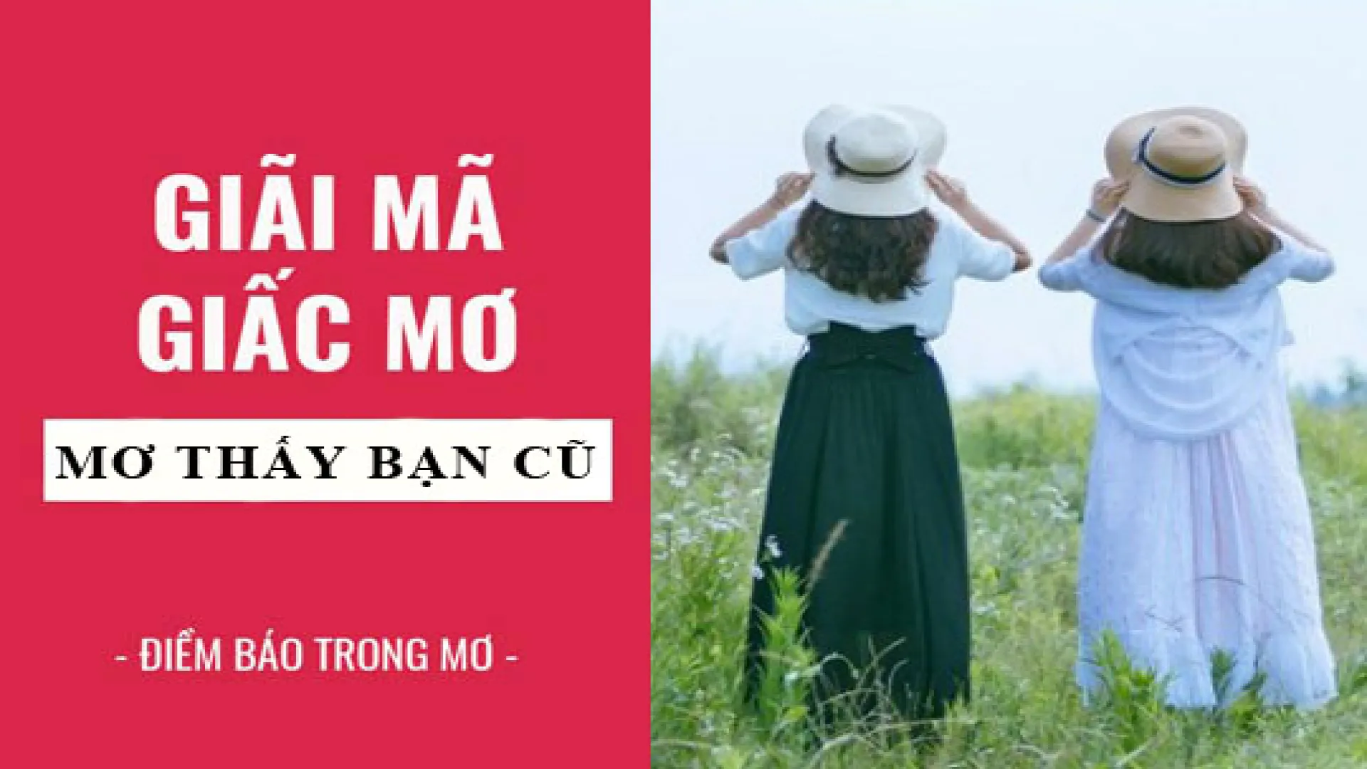 Mơ thấy bạn học cũ lâu ngày không gặp Mơ thấy bạn học cũ lâu ngày không gặp