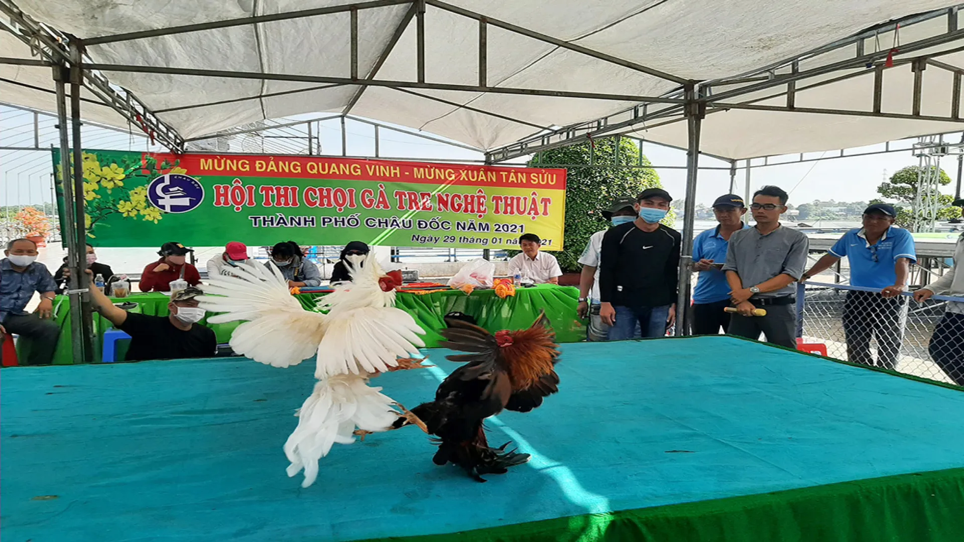 Có ngân sách chơi đá gà tre tại Manclub hợp lý Có ngân sách chơi đá gà tre tại Manclub hợp lý